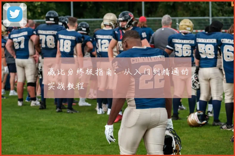 赢比分终极指南:从入门到精通的实战教程