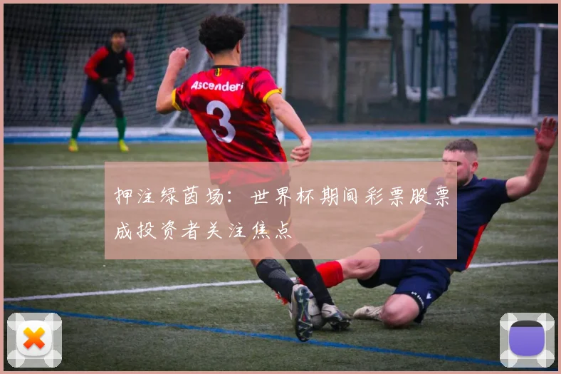 押注绿茵场:世界杯期间彩票股票成投资者关注焦点