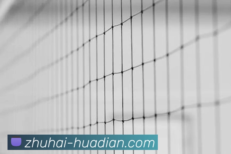 深度解析：火车头足球青训体系如何培养明日之星